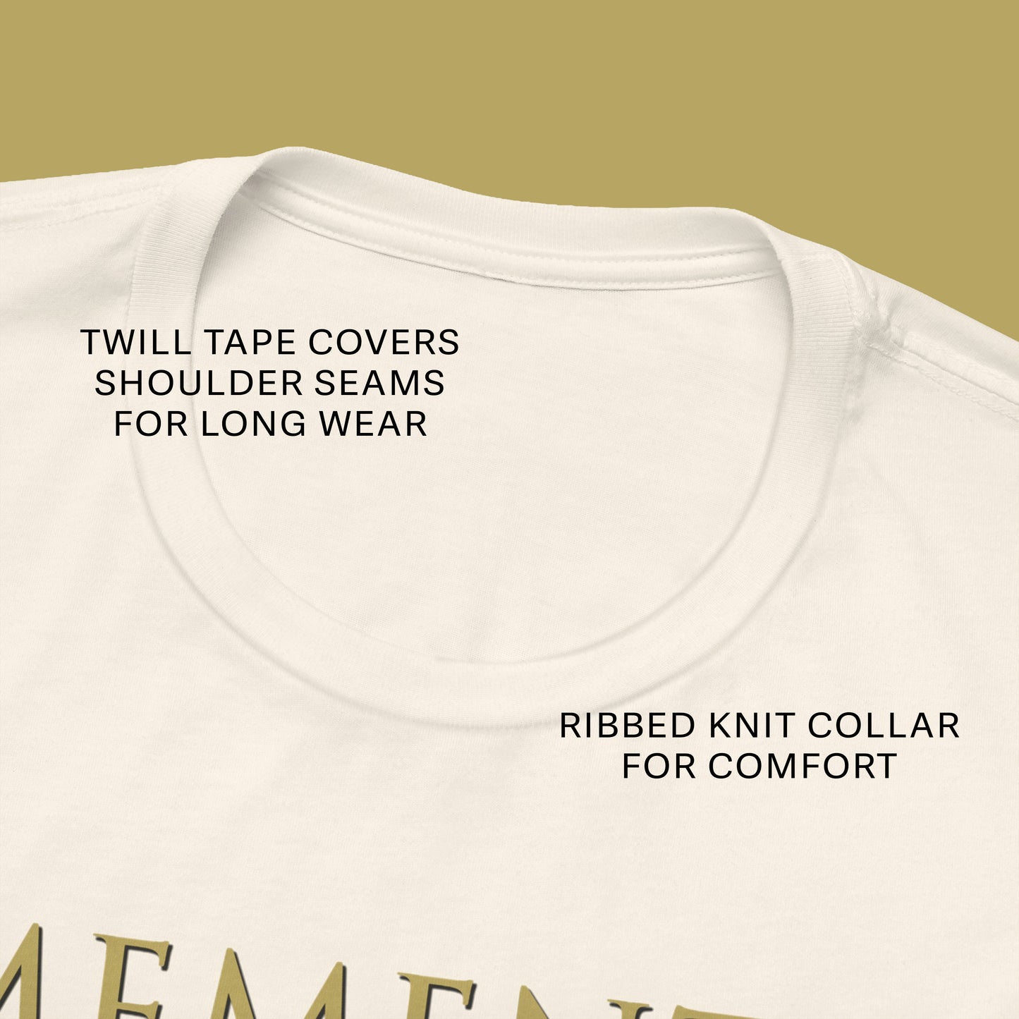 The Cat Watched the Moon