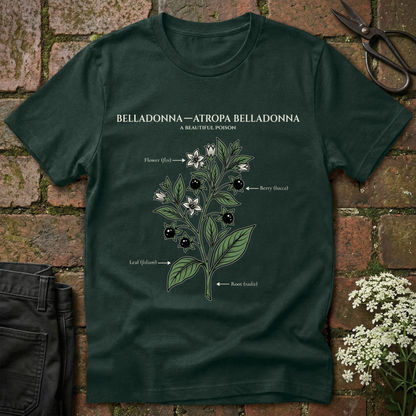Belladonna
