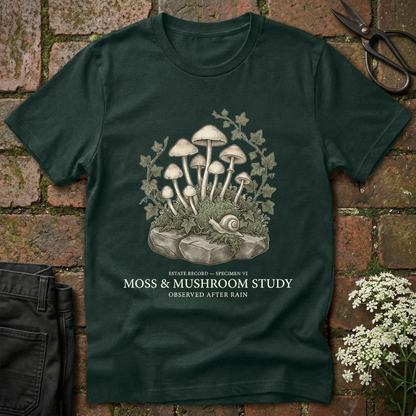 Moss & Mushroom Study