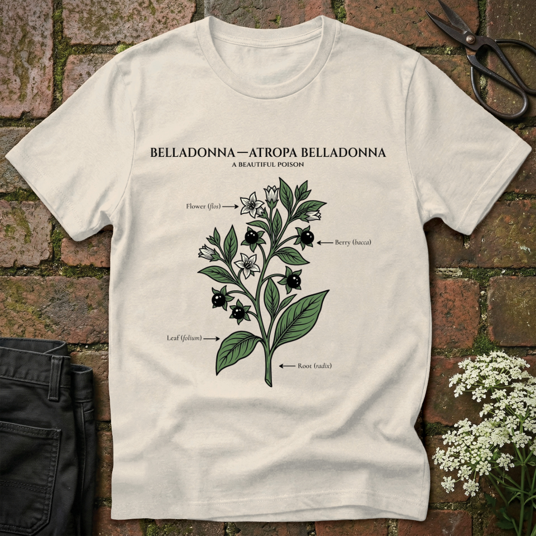 Belladonna